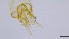  ( - HKU23)  @11 [ ] Copyright (2025) Mathew Stephen Seymour The University of Hong Kong