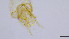  ( - HKU23)  @11 [ ] Copyright (2025) Mathew Stephen Seymour The University of Hong Kong