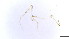  ( - HKU23)  @11 [ ] Copyright (2025) Mathew Stephen Seymour The University of Hong Kong