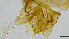  ( - HKU26)  @11 [ ] Copyright (2025) Mathew Stephen Seymour The University of Hong Kong