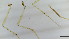  ( - HKU26)  @11 [ ] Copyright (2025) Mathew Stephen Seymour The University of Hong Kong