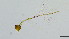  ( - HKU27)  @11 [ ] Copyright (2025) Mathew Stephen Seymour The University of Hong Kong