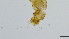  ( - HKU27)  @11 [ ] Copyright (2025) Mathew Stephen Seymour The University of Hong Kong
