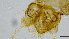  ( - HKU27)  @11 [ ] Copyright (2025) Mathew Stephen Seymour The University of Hong Kong