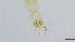  ( - HKU30)  @11 [ ] Copyright (2025) Mathew Stephen Seymour The University of Hong Kong