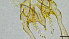  ( - HKU30)  @11 [ ] Copyright (2025) Mathew Stephen Seymour The University of Hong Kong