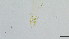  ( - HKU31)  @11 [ ] Copyright (2025) Mathew Stephen Seymour The University of Hong Kong