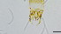  ( - HKU36)  @11 [ ] Copyright (2025) Mathew Stephen Seymour The University of Hong Kong