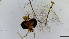  ( - HKU36)  @11 [ ] Copyright (2025) Mathew Stephen Seymour The University of Hong Kong