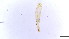  ( - HKU40)  @11 [ ] Copyright (2025) Mathew Stephen Seymour The University of Hong Kong