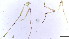  ( - HKU40)  @11 [ ] Copyright (2025) Mathew Stephen Seymour The University of Hong Kong