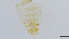  ( - HKU42)  @11 [ ] Copyright (2025) Mathew Stephen Seymour The University of Hong Kong