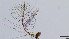  ( - HKU53)  @11 [ ] Copyright (2025) Mathew Stephen Seymour The University of Hong Kong