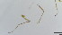  ( - HKU54)  @11 [ ] Copyright (2025) Mathew Stephen Seymour The University of Hong Kong