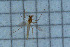  ( - HKU57)  @11 [ ] Copyright (2025) Mathew Stephen Seymour The University of Hong Kong