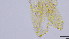  ( - HKU57)  @11 [ ] Copyright (2025) Mathew Stephen Seymour The University of Hong Kong