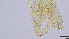  ( - HKU57)  @11 [ ] Copyright (2025) Mathew Stephen Seymour The University of Hong Kong