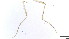  ( - HKU57)  @11 [ ] Copyright (2025) Mathew Stephen Seymour The University of Hong Kong