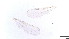  ( - HKU57)  @11 [ ] Copyright (2025) Mathew Stephen Seymour The University of Hong Kong