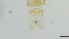  ( - HKU62)  @11 [ ] Copyright (c) (10) Prof. Mathew Stephen Seymour the university of Hong Kong