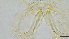  ( - HKU62)  @11 [ ] Copyright (c) (10) Prof. Mathew Stephen Seymour the university of Hong Kong