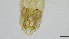  ( - HKU64)  @11 [ ] Copyright (c) (10) Prof. Mathew Stephen Seymour the university of Hong Kong