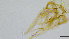  ( - HKU65)  @11 [ ] Copyright (2025) Mathew Stephen Seymour The University of Hong Kong