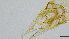  ( - HKU65)  @11 [ ] Copyright (2025) Mathew Stephen Seymour The University of Hong Kong