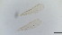  ( - HKU65)  @11 [ ] Copyright (2025) Mathew Stephen Seymour The University of Hong Kong