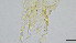  ( - HKU66)  @11 [ ] Copyright (c) (10) Prof. Mathew Stephen Seymour the university of Hong Kong