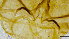  ( - HKU76)  @11 [ ] Copyright (c) (10) Prof. Mathew Stephen Seymour the university of Hong Kong