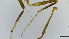  ( - HKU76)  @11 [ ] Copyright (2025) Mathew Stephen Seymour The University of Hong Kong