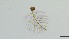  ( - HKU81)  @11 [ ] Copyright (2025) Mathew Stephen Seymour The University of Hong Kong