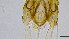  ( - HKU86)  @11 [ ] Copyright (c) (10) Prof. Mathew Stephen Seymour the university of Hong Kong