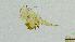  ( - 2022EPH037ECS015_a)  @11 [ ] c  Mathew Seymour The University of Hong Kong