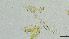  ( - 2022EPH037ECS015_a)  @11 [ ] c  Mathew Seymour The University of Hong Kong