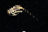  ( - 2023EPT_031_ECS010_a)  @11 [ ] Copyright (2025) Mathew Seymour The University of Hong Kong