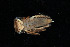  ( - 2023EPT_031_ECS023_a)  @11 [ ] Copyright (2025) Mathew Seymour The University of Hong Kong
