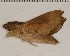  ( - HKNHM-740595)  @12 [ ] Unspecified (default): All Rights Reserved  Unspecified Unspecified