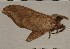 ( - HKNHM-740608)  @13 [ ] Unspecified (default): All Rights Reserved  Unspecified Unspecified