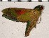  ( - HKNHM-740630)  @12 [ ] Unspecified (default): All Rights Reserved  Unspecified Unspecified