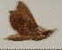  ( - HKNHM-793552)  @12 [ ] Unspecified (default): All Rights Reserved  Unspecified Unspecified