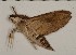  ( - HKNHM-794570)  @12 [ ] Unspecified (default): All Rights Reserved  Unspecified Unspecified