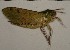  ( - HKNHM-794579)  @12 [ ] Unspecified (default): All Rights Reserved  Unspecified Unspecified