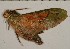  ( - HKNHM-794594)  @12 [ ] Unspecified (default): All Rights Reserved  Unspecified Unspecified