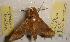  ( - HKNHM-793577)  @13 [ ] Unspecified (default): All Rights Reserved  Unspecified Unspecified