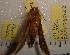  ( - HKNHM-793582)  @13 [ ] Unspecified (default): All Rights Reserved  Unspecified Unspecified