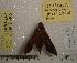  ( - HKNHM-793570)  @13 [ ] Unspecified (default): All Rights Reserved  Unspecified Unspecified
