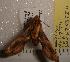  ( - HKNHM-793584)  @12 [ ] Unspecified (default): All Rights Reserved  Unspecified Unspecified