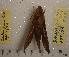  ( - HKNHM-793559)  @12 [ ] Unspecified (default): All Rights Reserved  Unspecified Unspecified